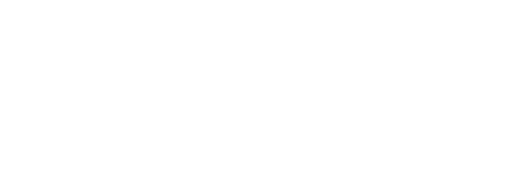 Bridge Dental Analytics